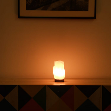 Flower salt lamp