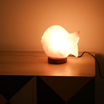 Fish Salt Lamp