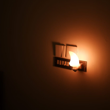 Horn night holder Salt lamp