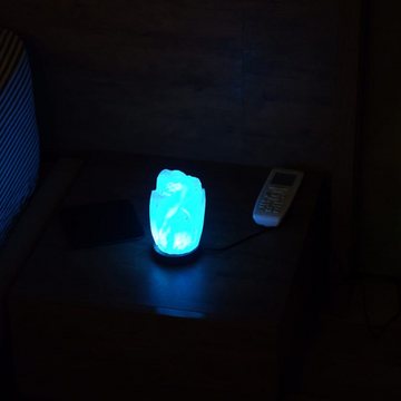 Flower USB Salt Lamp