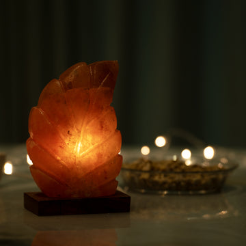 Leaf Shape Salt Lamp