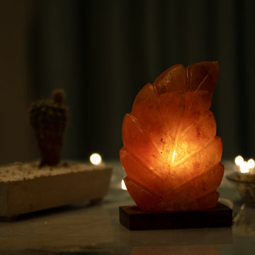 Leaf Shape Salt Lamp